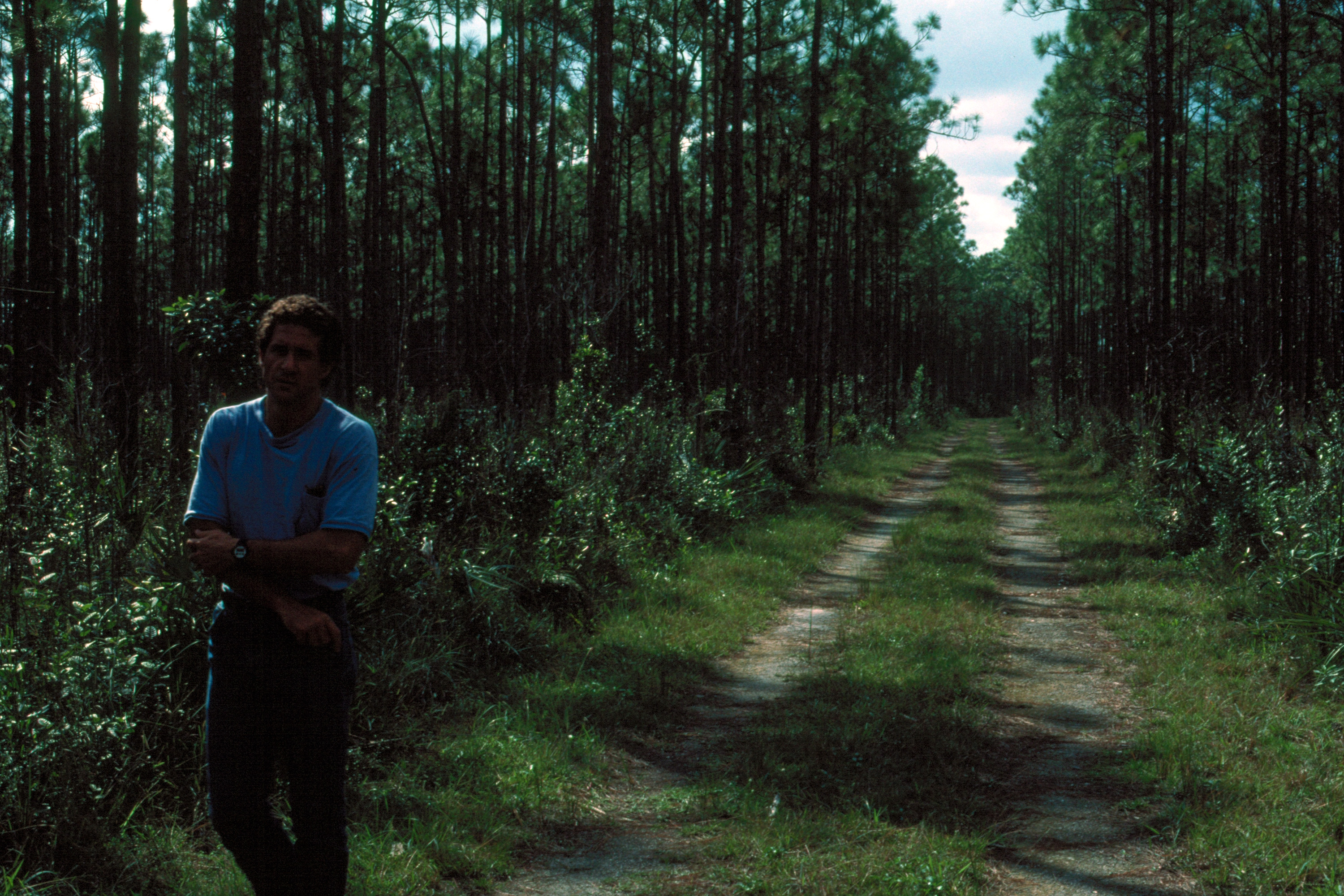Everglades 1990 B32 Long Pine Key